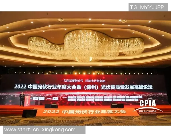 成都华阳足球俱乐部发展历程与未来展望探讨