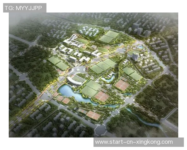 足球行业就业前景分析与职业发展路径探讨