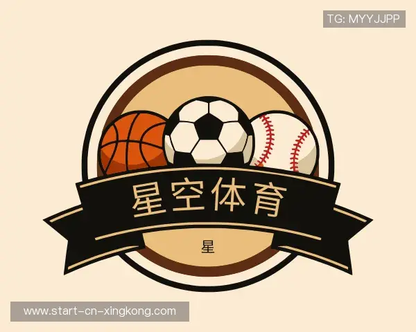 介绍XINGKONG中国官网